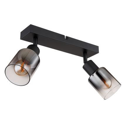 Plafondspot HUBERTUS zwart glas verstelbaar (1 stuk) Spot 2xE14/40W/230V