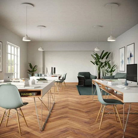 Grote plafondkap zwart met 1 uitgang rond 40cm - FOIR