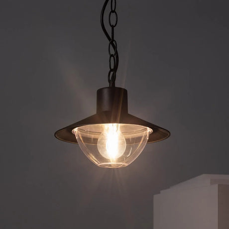 Hanglamp zwart e27 fitting rond glas metaal
