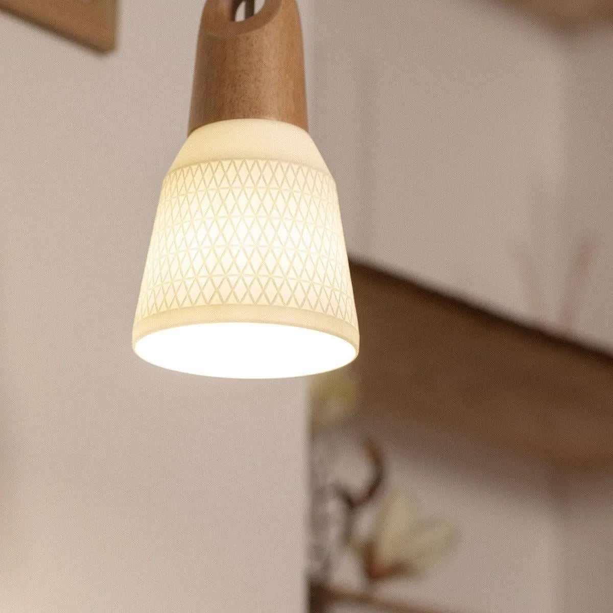 Hanglamp hout porselein e27 fitting