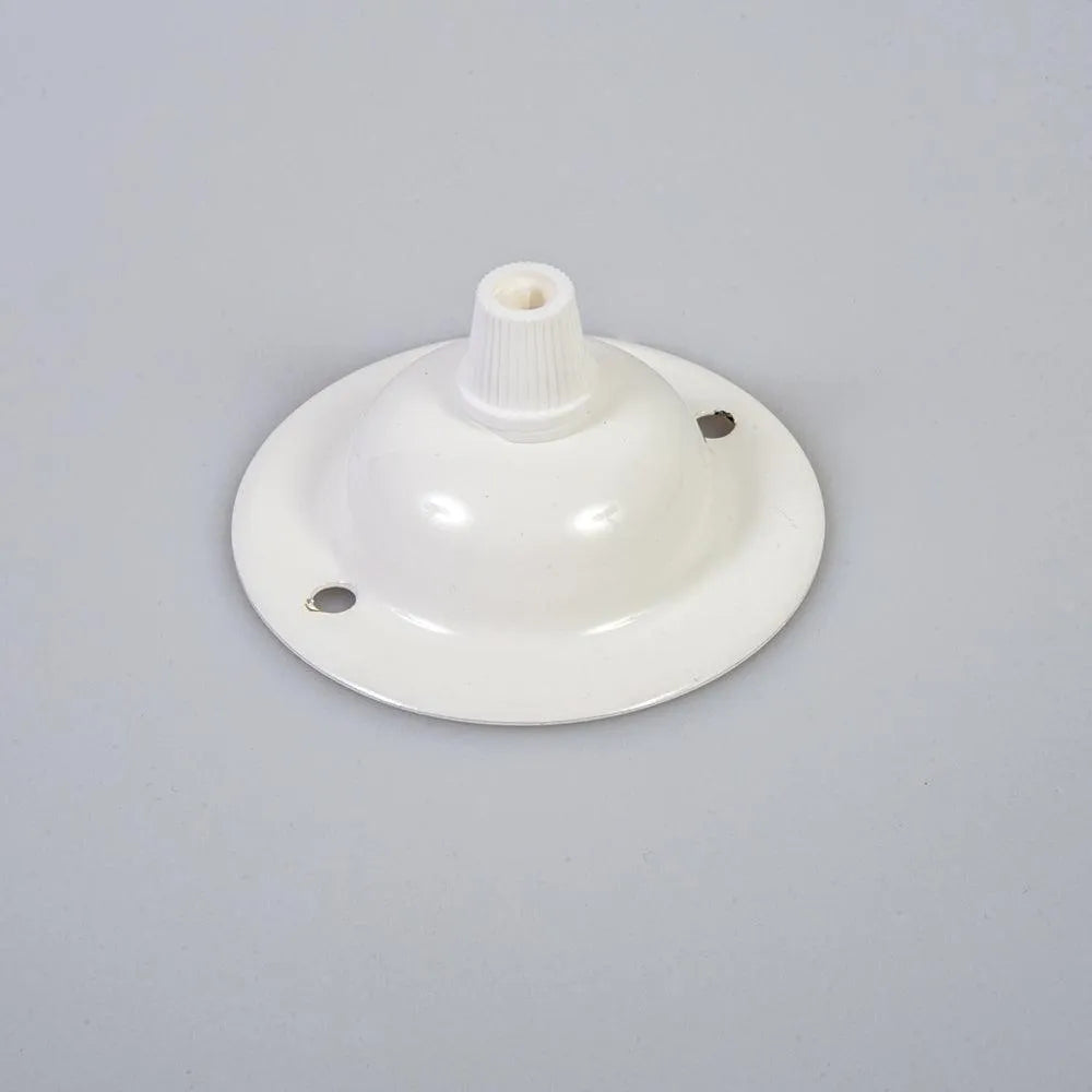 Kleine witte plafond roos