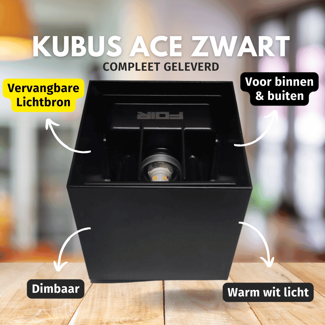 Buitenlamp dimbaar Kubus 'Ace' zwart 5W led up and down (IP65) DIM