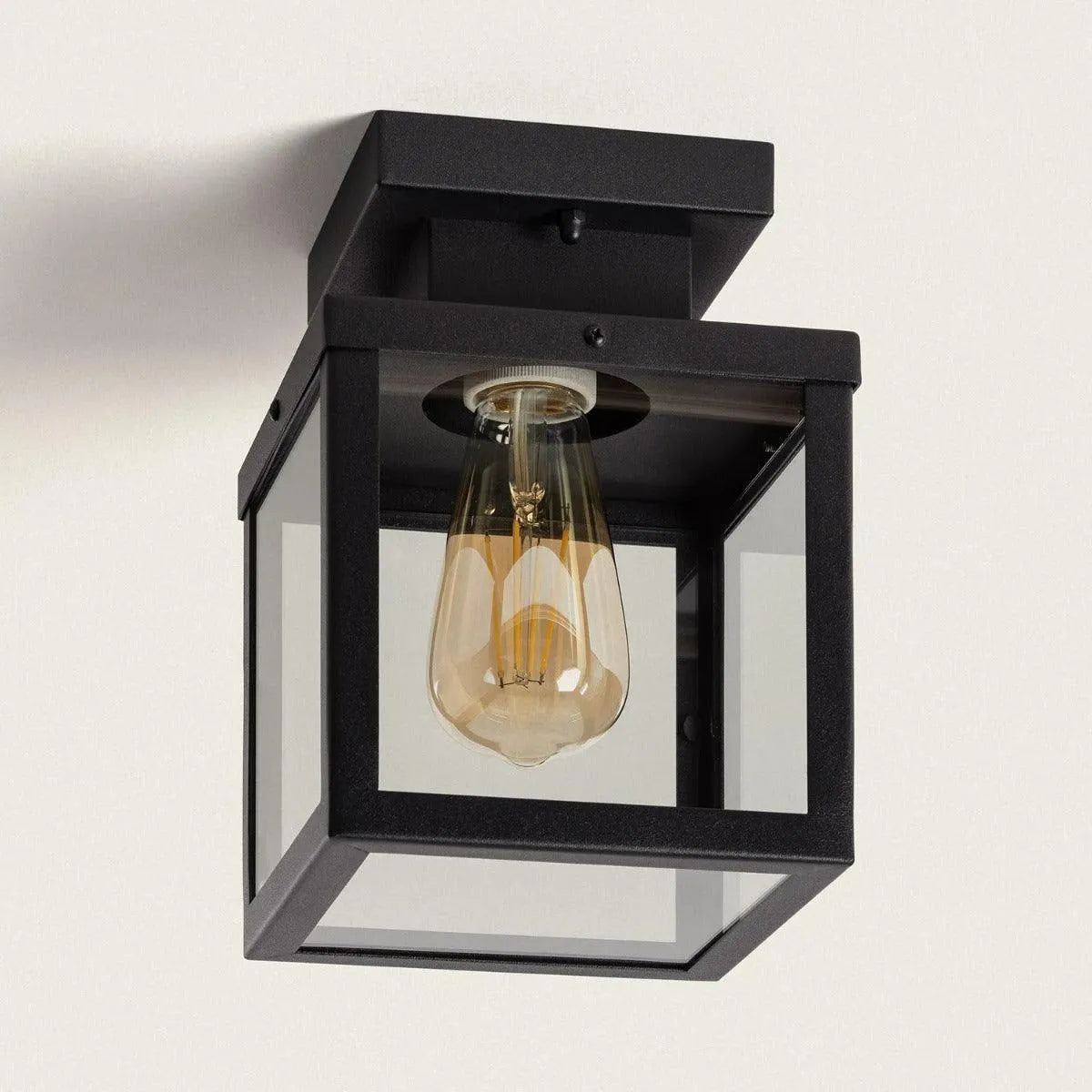 Plafondlamp zwart met glas en E27 fitting design industrieel geschikt voor buiten