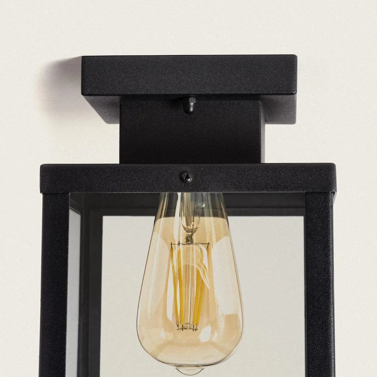 Plafondlamp zwart met glas industrieel 'Ricard' 22 cm - FOIR