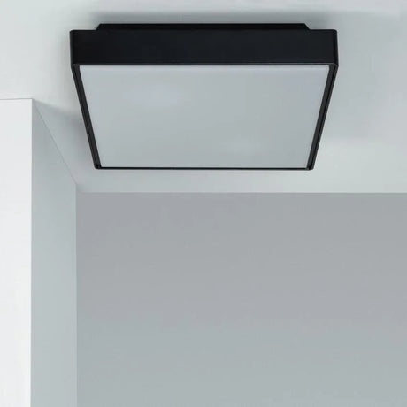 Buitenlamp plafond Plafondlamp met e27 fitting