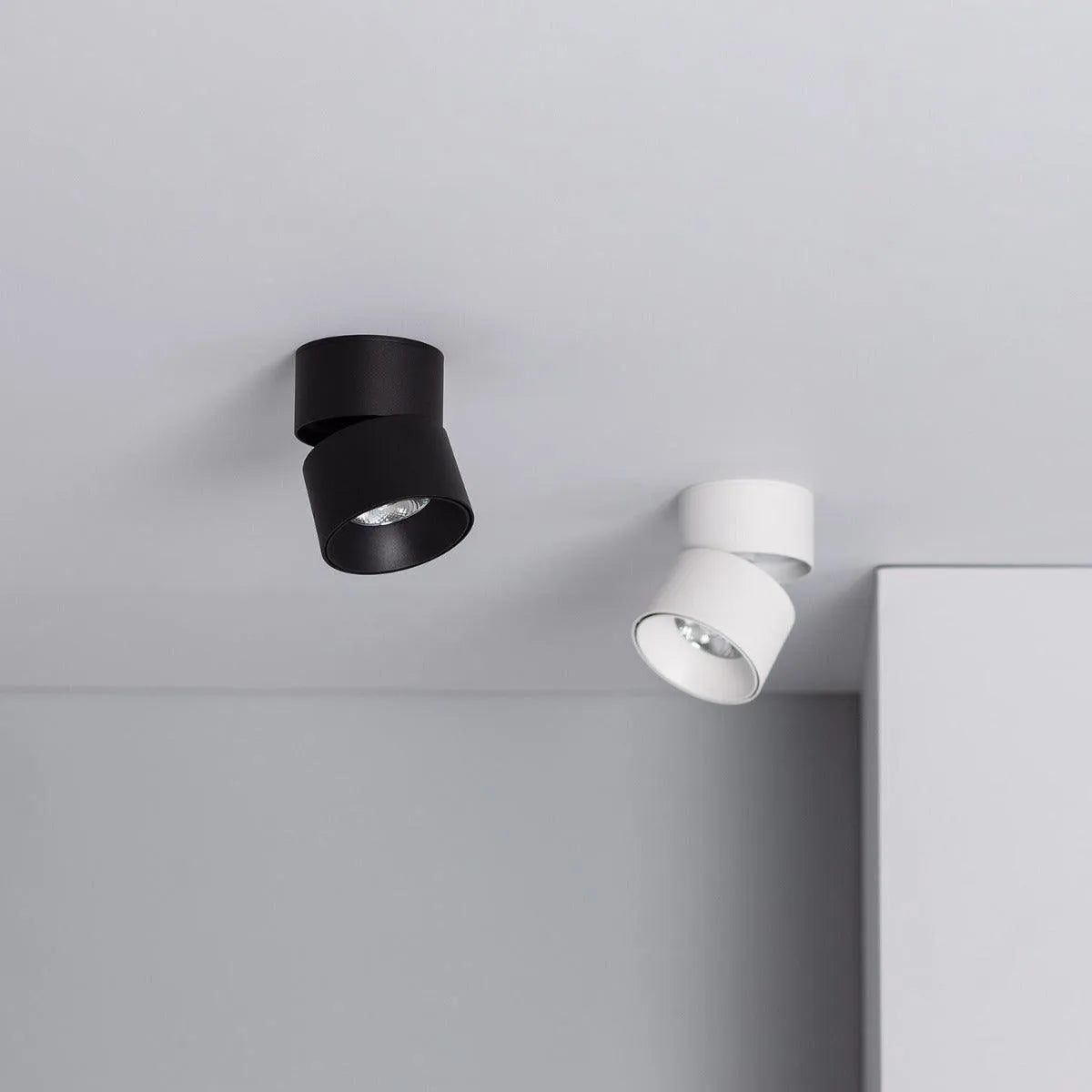 Plafondspot wit en zwart verstelbaar opbouw modern rond