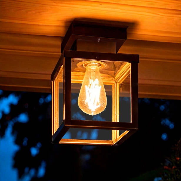 Plafondlamp zwart met glas industrieel 'Ricard' 22 cm