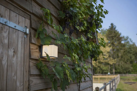 Lutec Doblo wandlamp vierkant led warm witte LED 3000K - FOIR