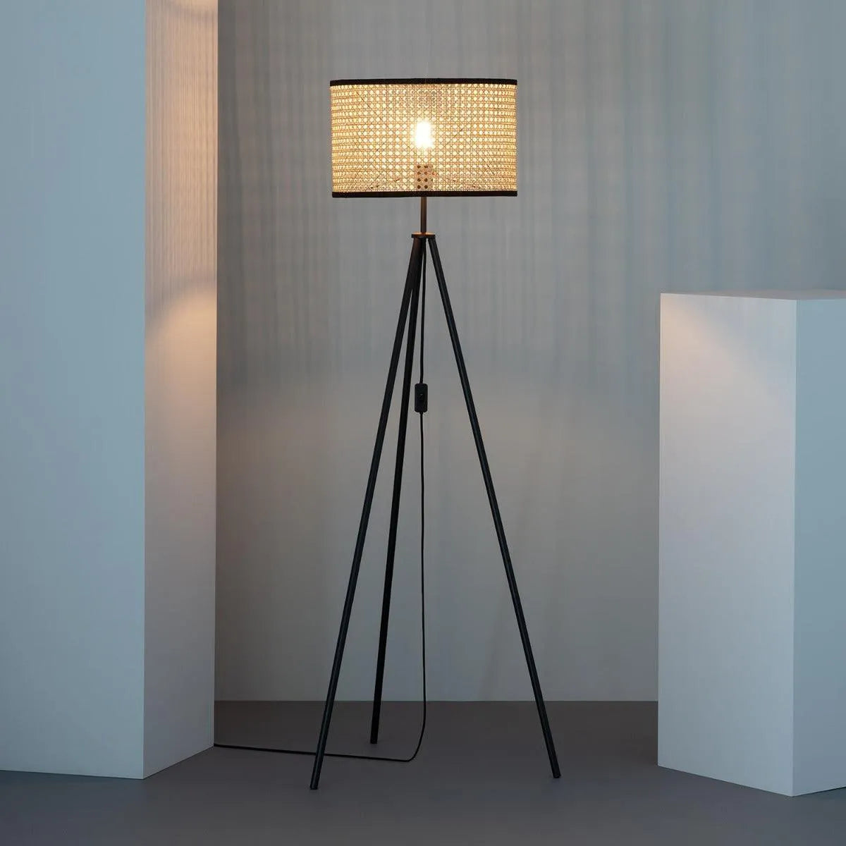 Vloerlamp driepoot e27 rotan lamp modern metaal