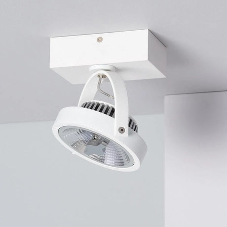 Witte plafondspot verstelbaar warm wit