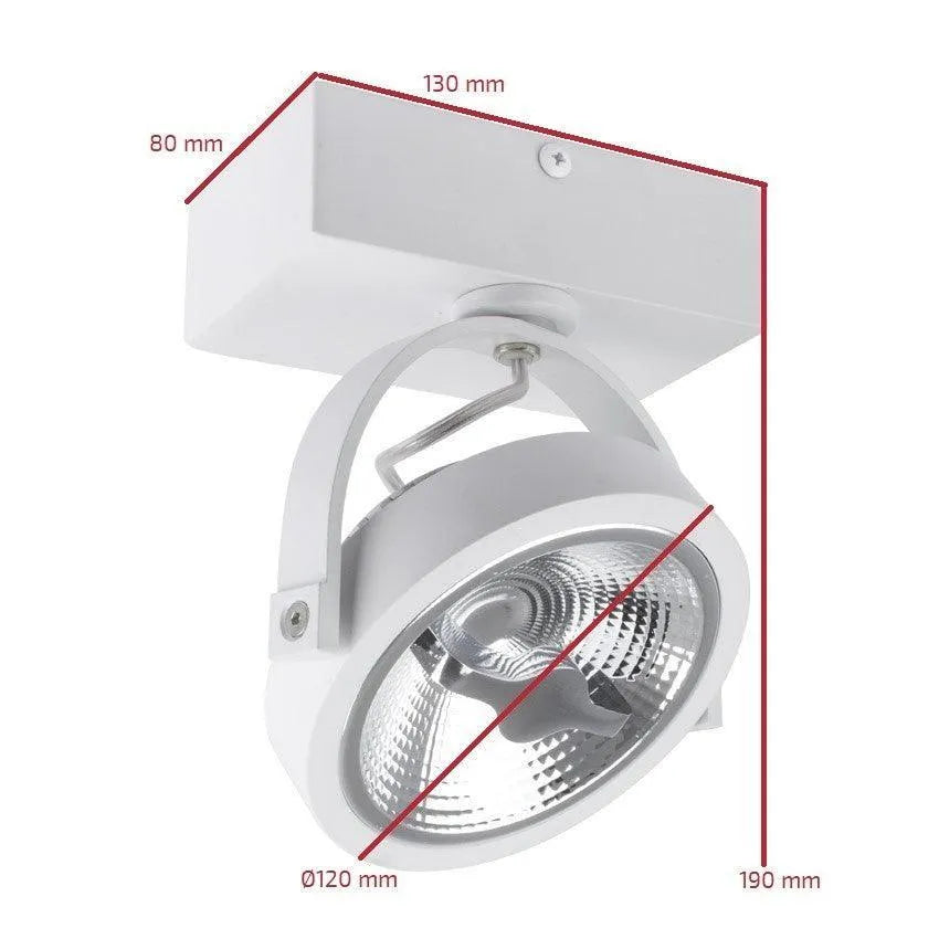 Plafondspot wit AR111 120mm rond