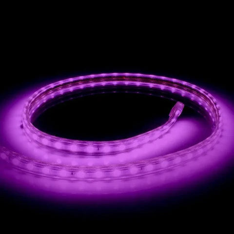 LED Strip 1 - 50 meter Paars 220v IP65
