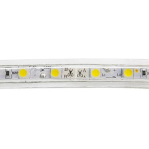 50M Led strip koel wit 50m