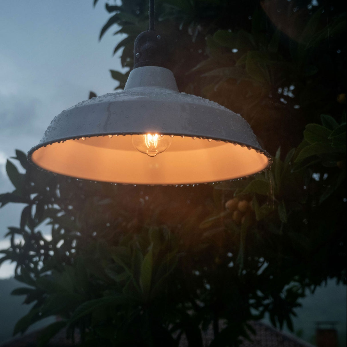 Hanglamp buiten IP65 EIVA 5 meter kabel compleet