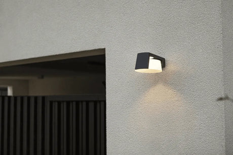 Buitenlamp zwart Moon LED downlighter donkergrijs helder wit 4000K - FOIR