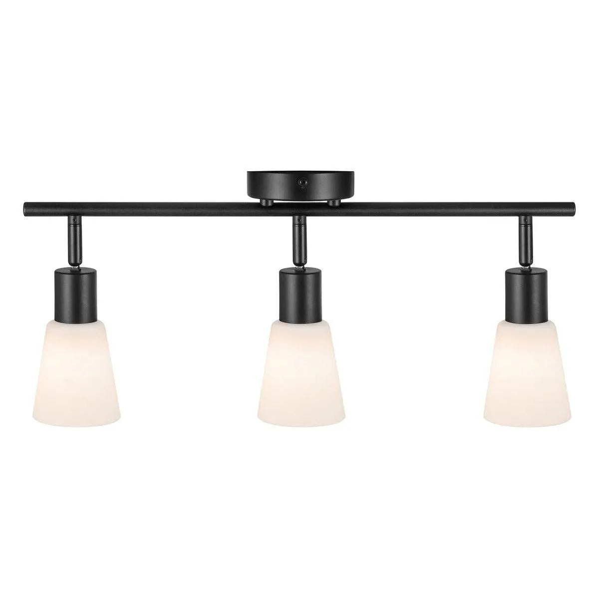 plafondlamp met glazen kappen verstelbaar cole