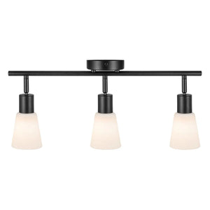 plafondlamp met glazen kappen verstelbaar cole