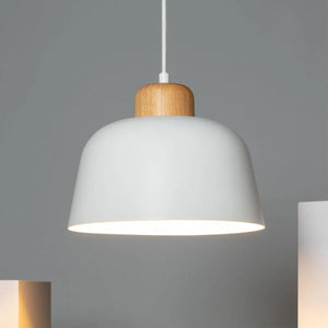 Hanglamp metaal e27 fitting design led lamp