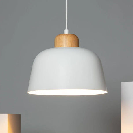 Hanglamp metaal e27 fitting design led lamp