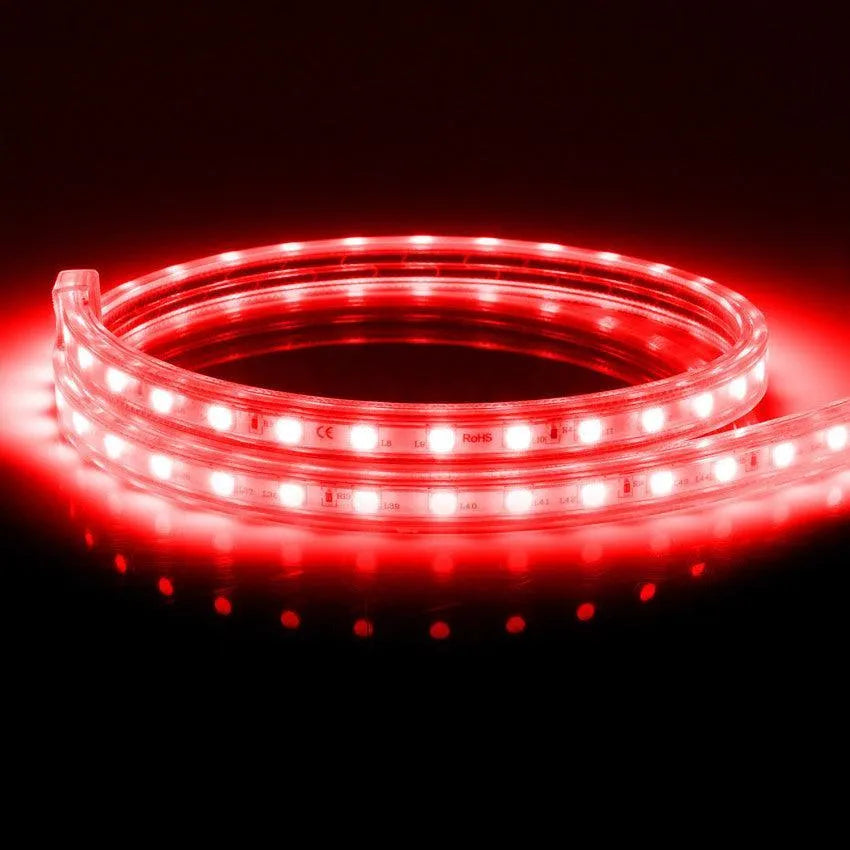 RGB strip 10 meter Rood Groen Blauw IP65 & 840 Lumen - FOIR