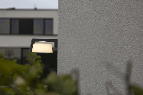 Buitenlamp zwart Moon LED downlighter donkergrijs helder wit 4000K - FOIR