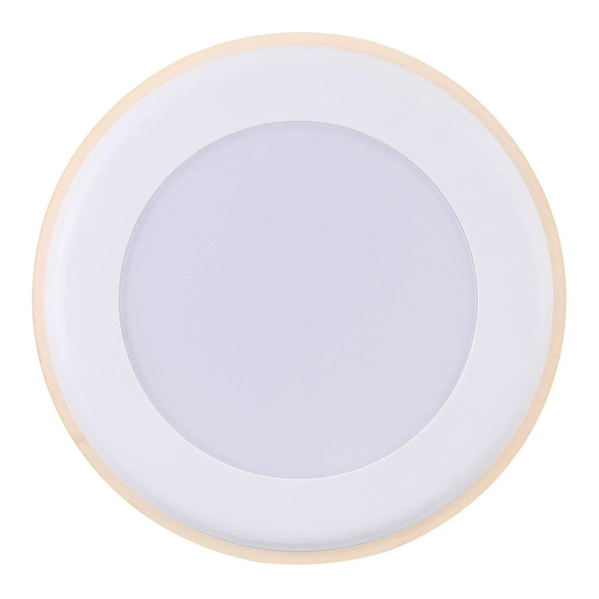 Downlighter led lamp warm wit