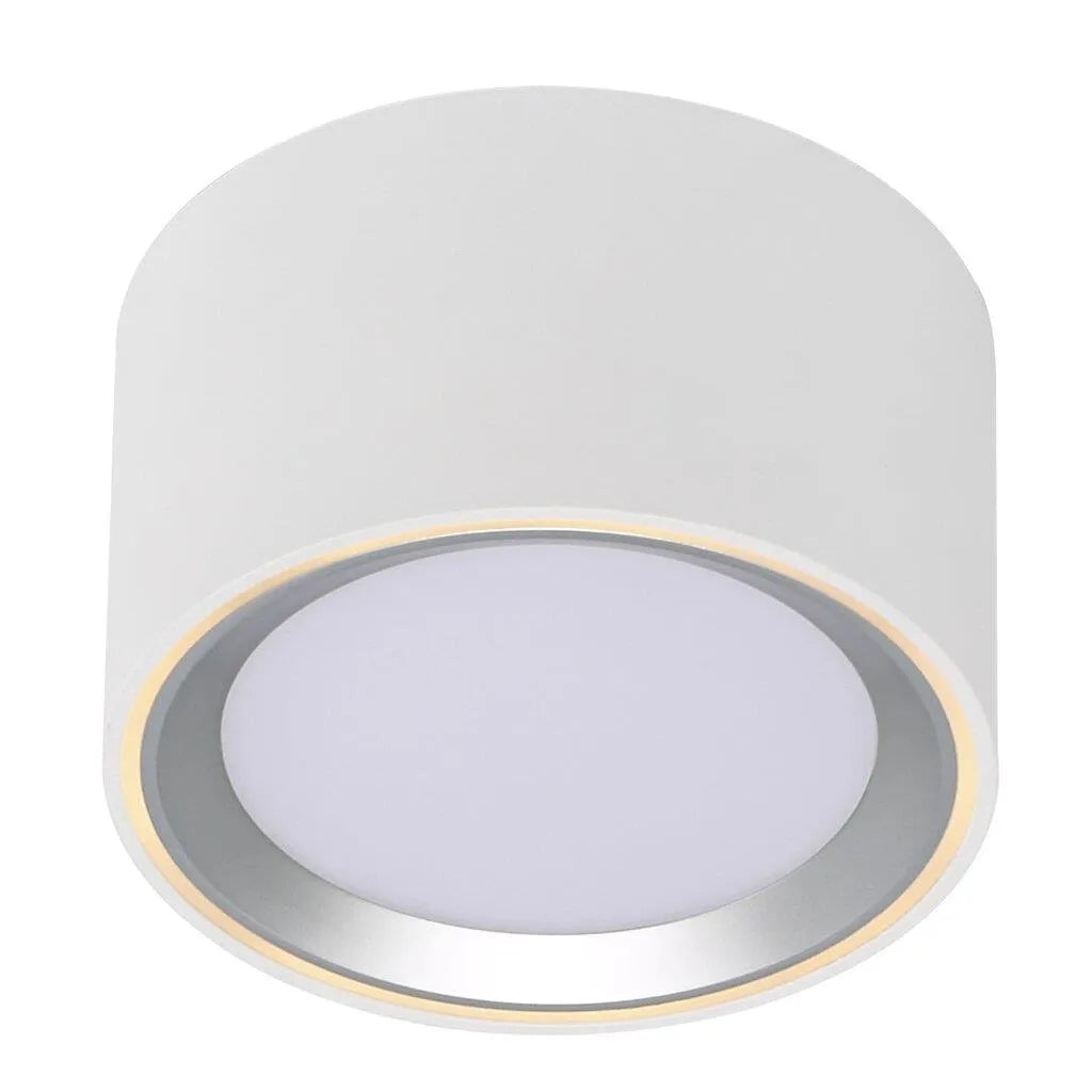 Plafondspot wit opbouw led lamp warm wit rond