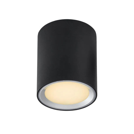 Plafondspot opbouwspot zwart led lamp 3 standen1