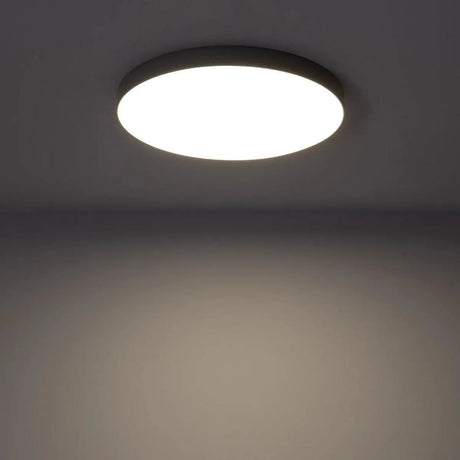 Plafondlamp rond badkamer of buiten LED & dimbaar 'Zora' -Grijs - FOIR