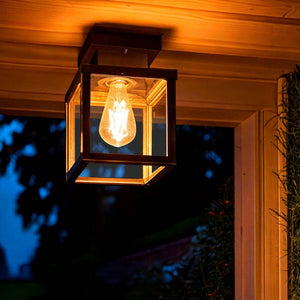 Plafondlamp zwart met glas industrieel 'Ricard' 22 cm