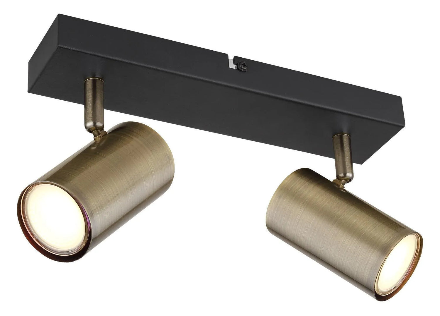 Robby plafondspotje met 2 kappen designverlichting zwart en messing 9007371439980