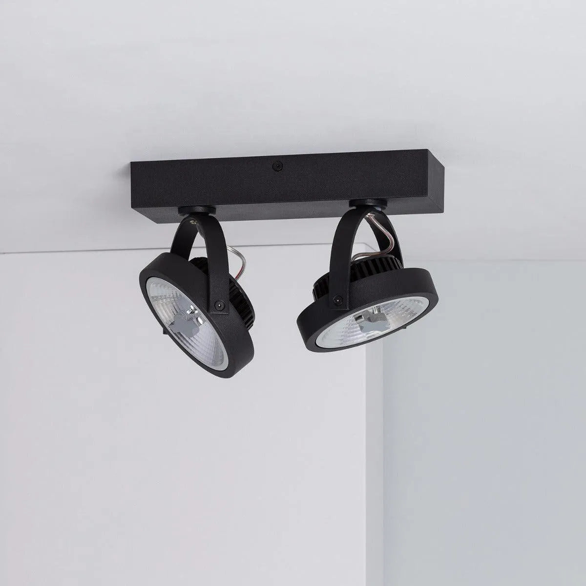 Grote dimbare plafondlamp met 2 spots zwart