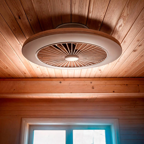 Plafondlamp met ventilator rond afstandsbediening