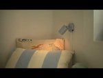 Messing leeslamp wandlamp zwart 'Explore' Nordlux GU10 verstelbaar modern 80mm