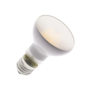 R63 led lichtbron warm wit mat 