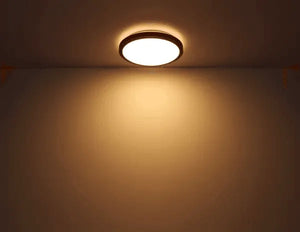 Ronde plafondlamp hout met LED & CCT 'Bruno' - FOIR
