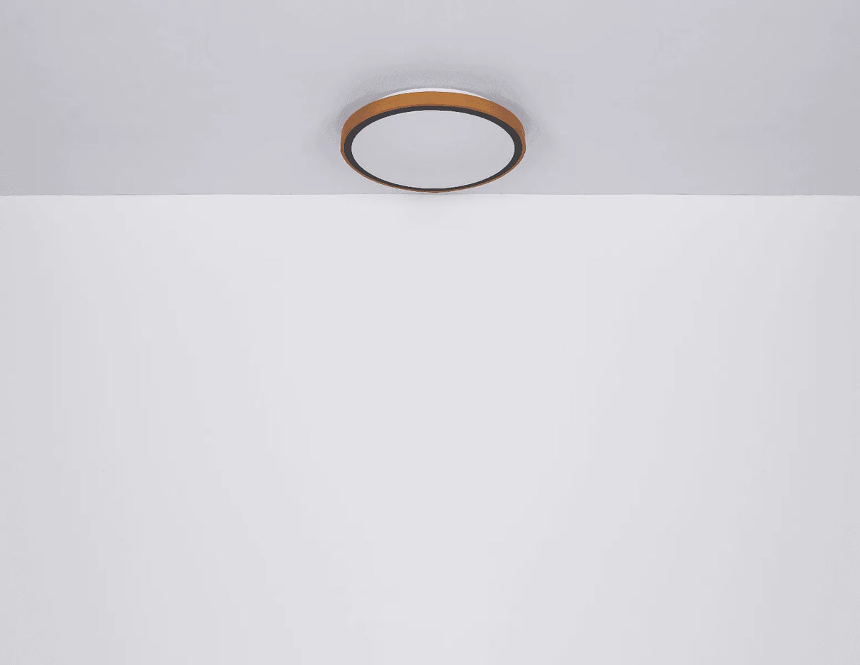 Ronde plafondlamp hout met LED & CCT 'Bruno' - FOIR