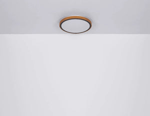 Ronde plafondlamp hout met LED & CCT 'Bruno' - FOIR
