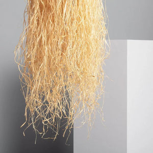 Rotan hanglamp gevlochten led lamp e27 fitting