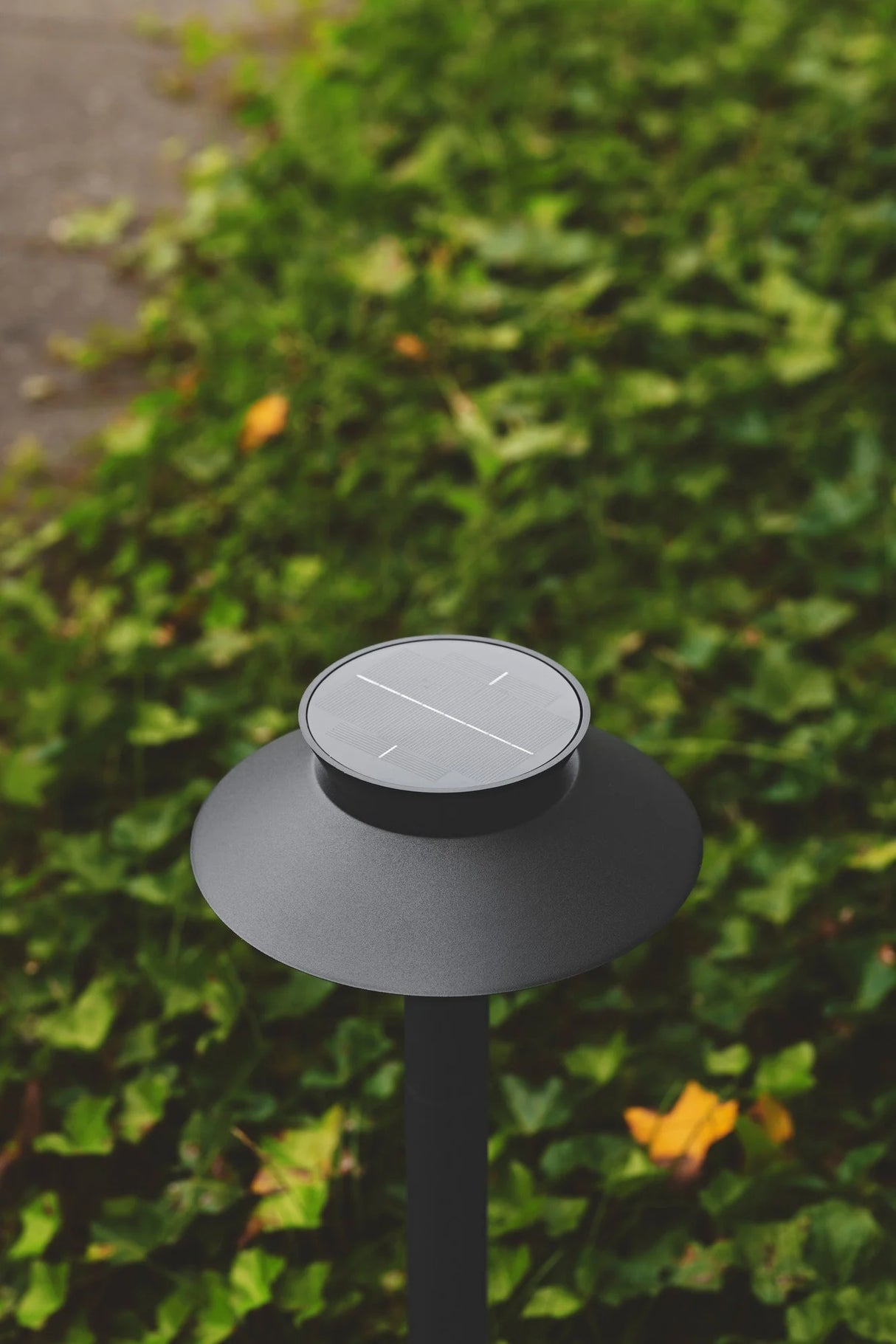 Tuinpadverlichting Justina zonne energie led 60 cm