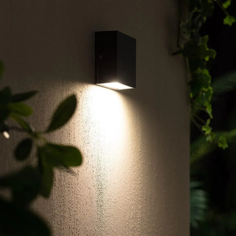 Gevelverlichting antraciet helder wit downlighter led 