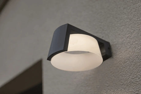 Buitenlamp zwart Moon LED downlighter donkergrijs helder wit 4000K - FOIR