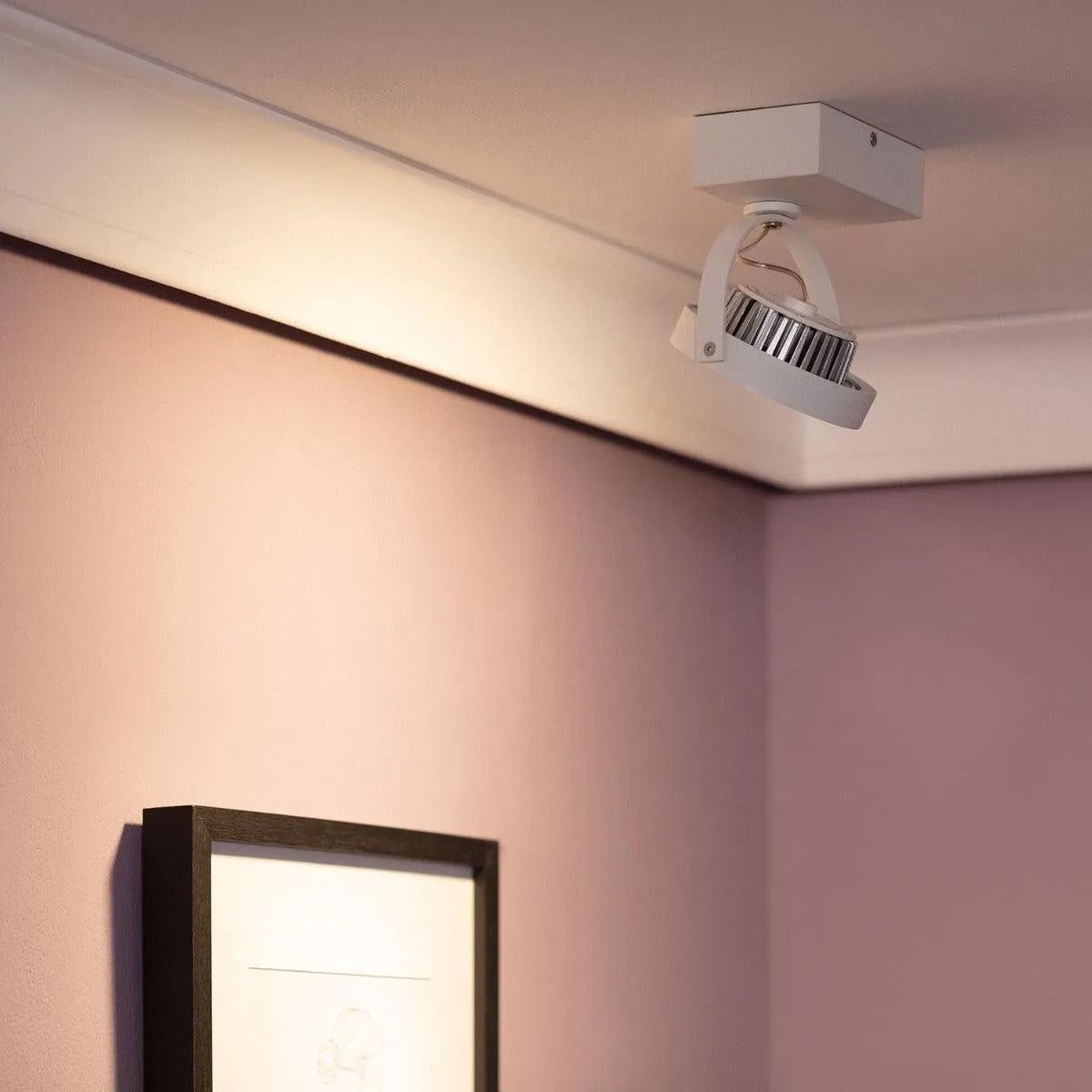 Plafondspot wit rond warm wit led lamp cree